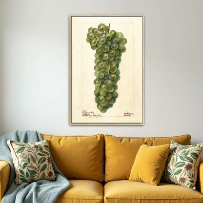 Green grape cluster watercolor by Deborah Griscom Passmore