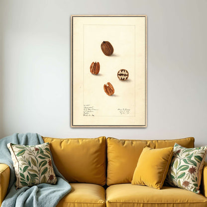 Pecans watercolor painting by Elsie E. Lower