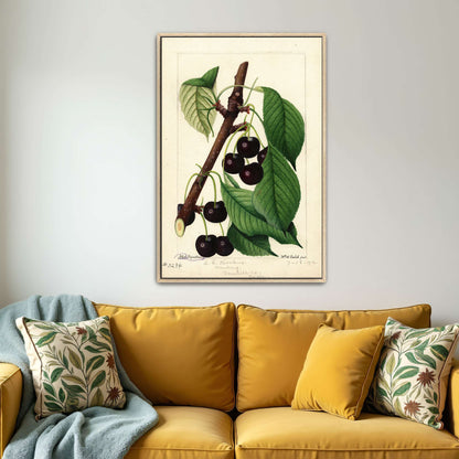 Black Republican Cherries by William Henry Prestele