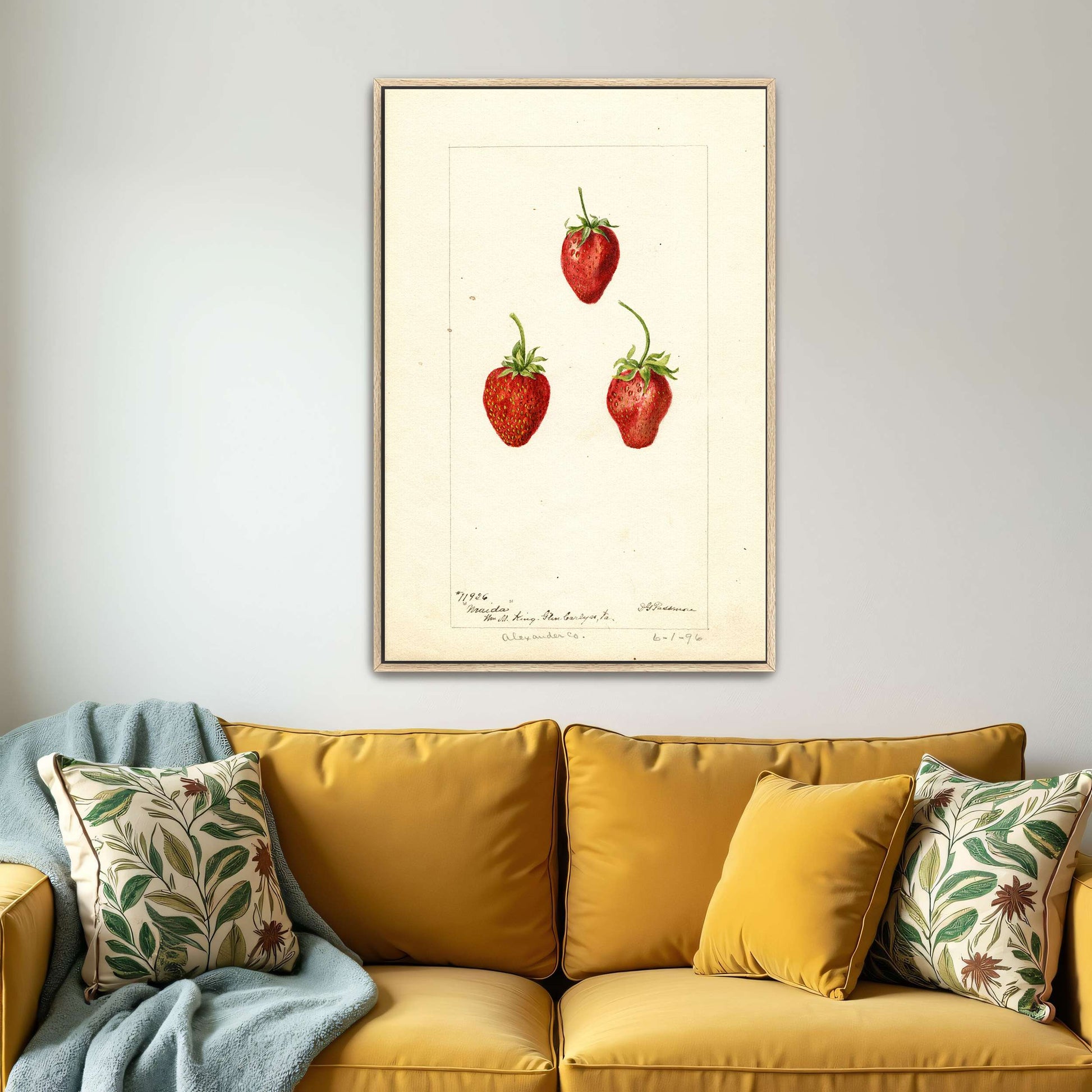 Three Strawberries Watercolor by Deborah Griscom Passmore