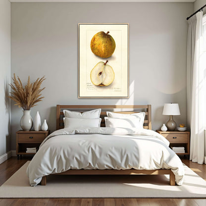 Watercolor painting of pears by Amanda Almira Newton