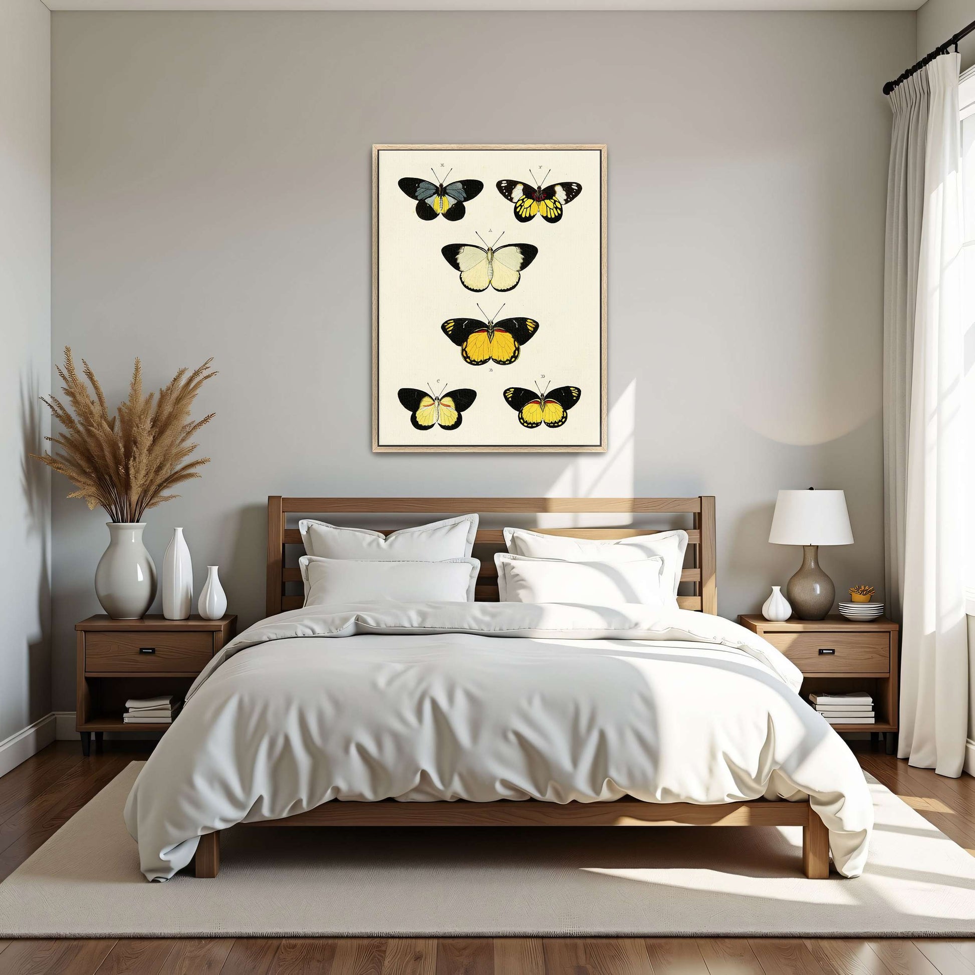 Five butterflies on white background by Pieter Cramer