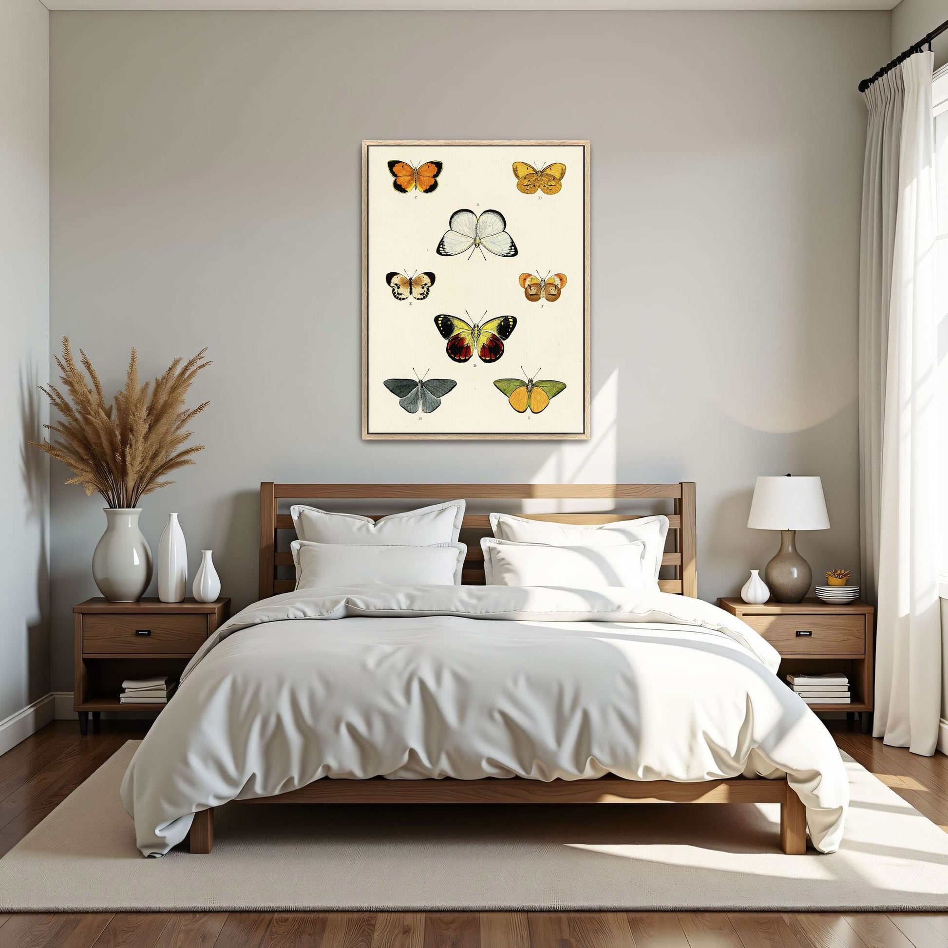Collection of butterflies on a white page by Pieter Cramer