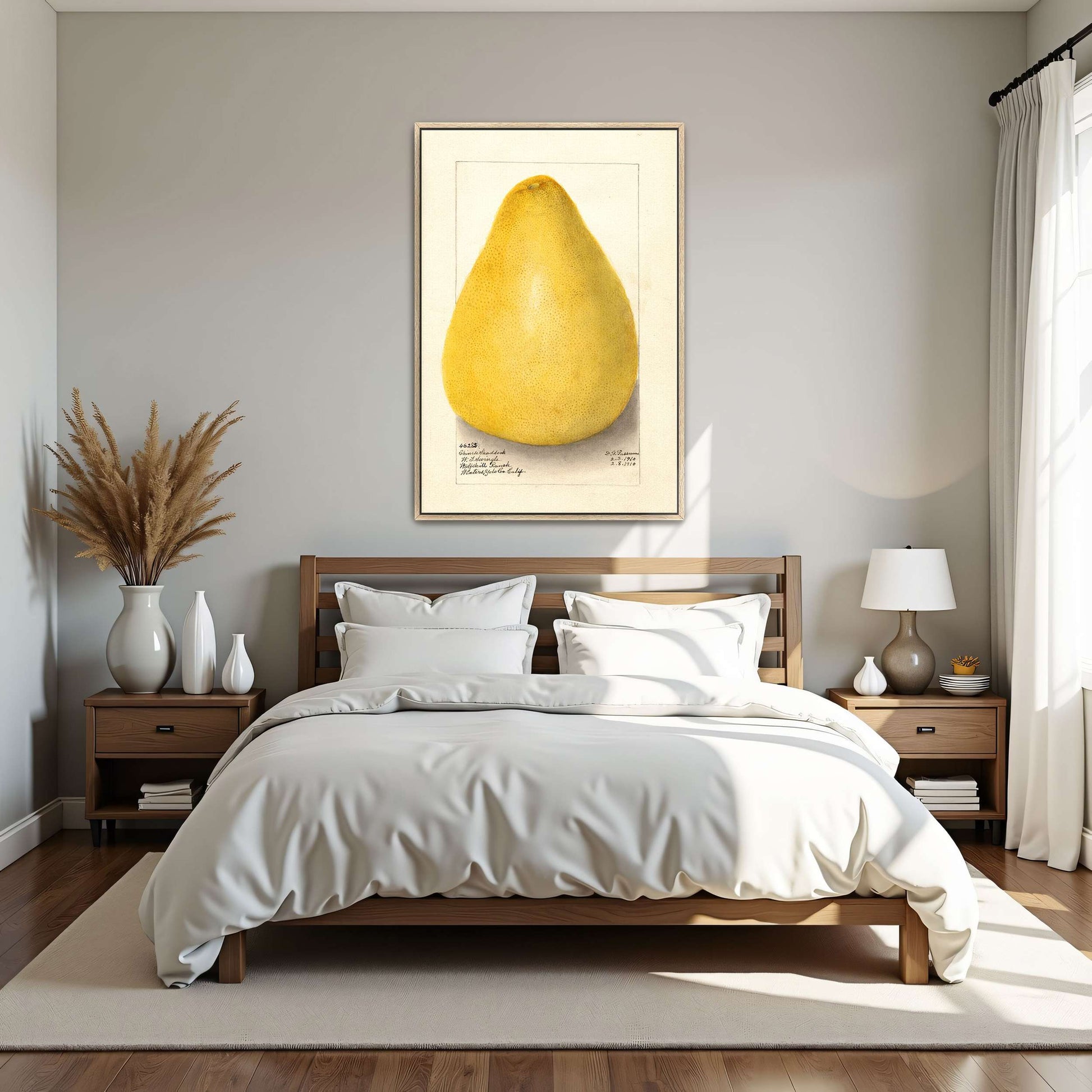 Watercolor of a pomelo by Amanda Almira Newton