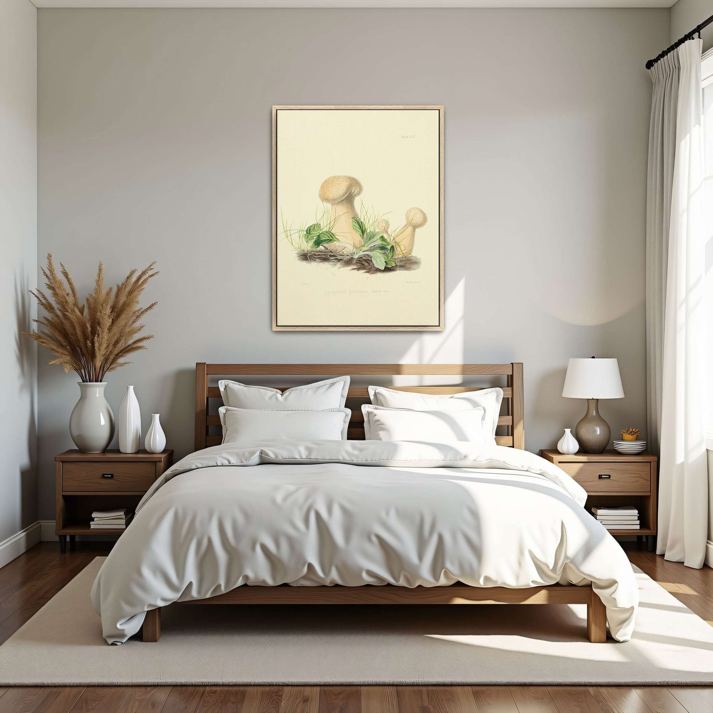 Mushrooms in grass illustration by Anna Maria Hussey