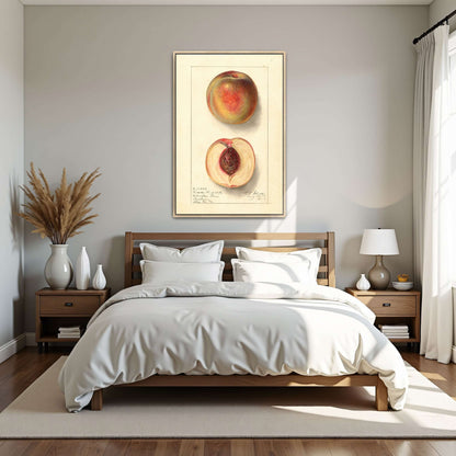Peach Watercolor Painting by Ellen Isham Schutt