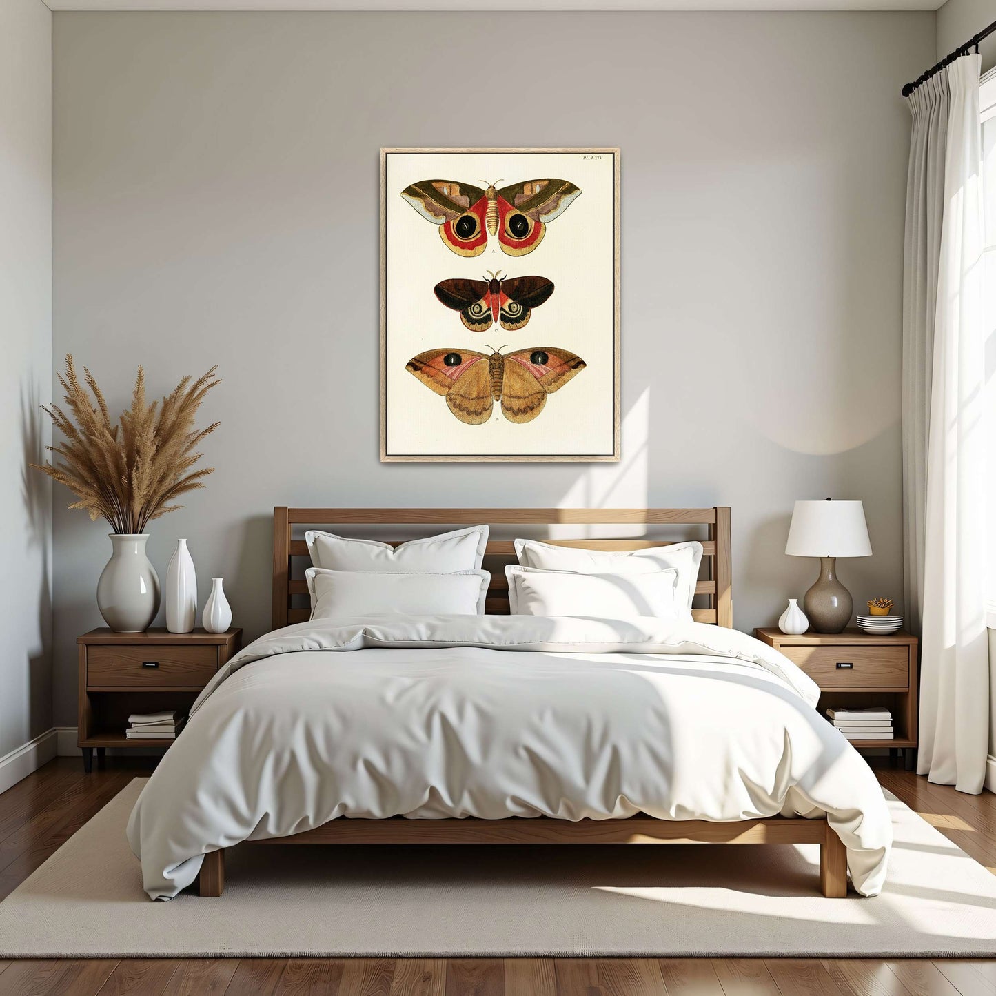 Three butterfly specimens on white background by Pieter Cramer