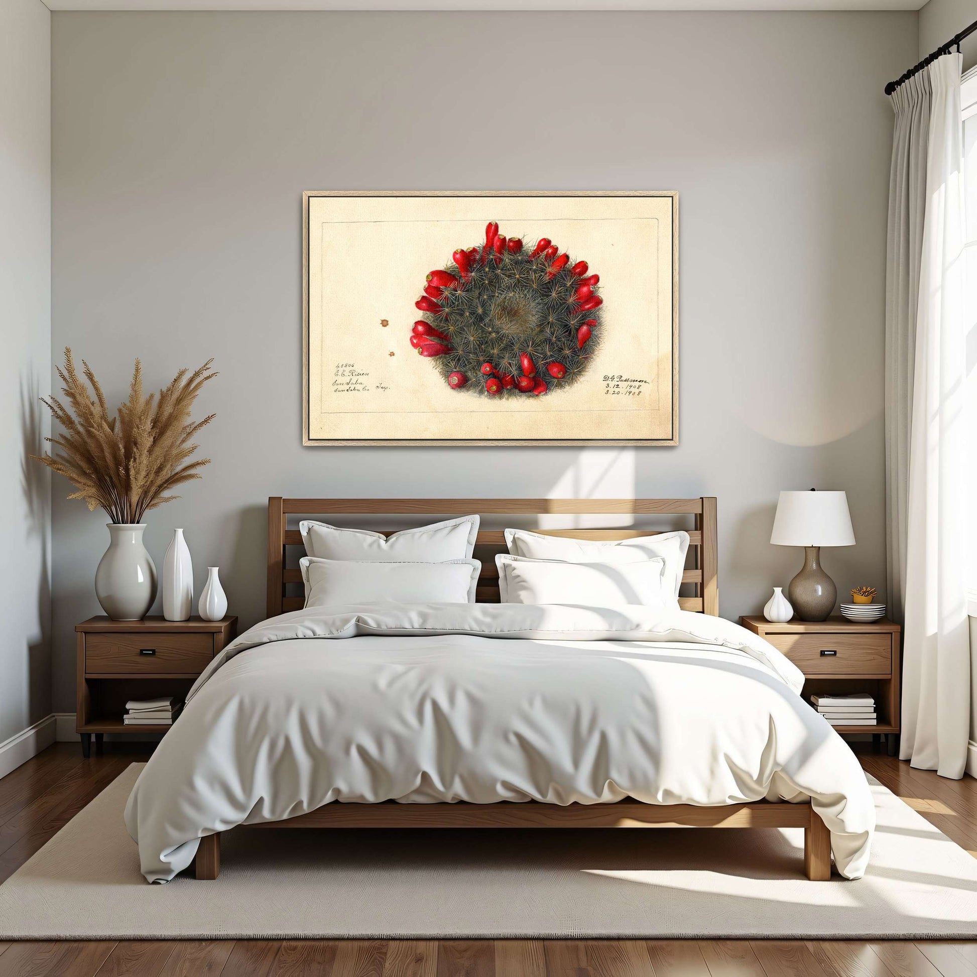 Cactus with red flowers by Deborah Griscom Passmore