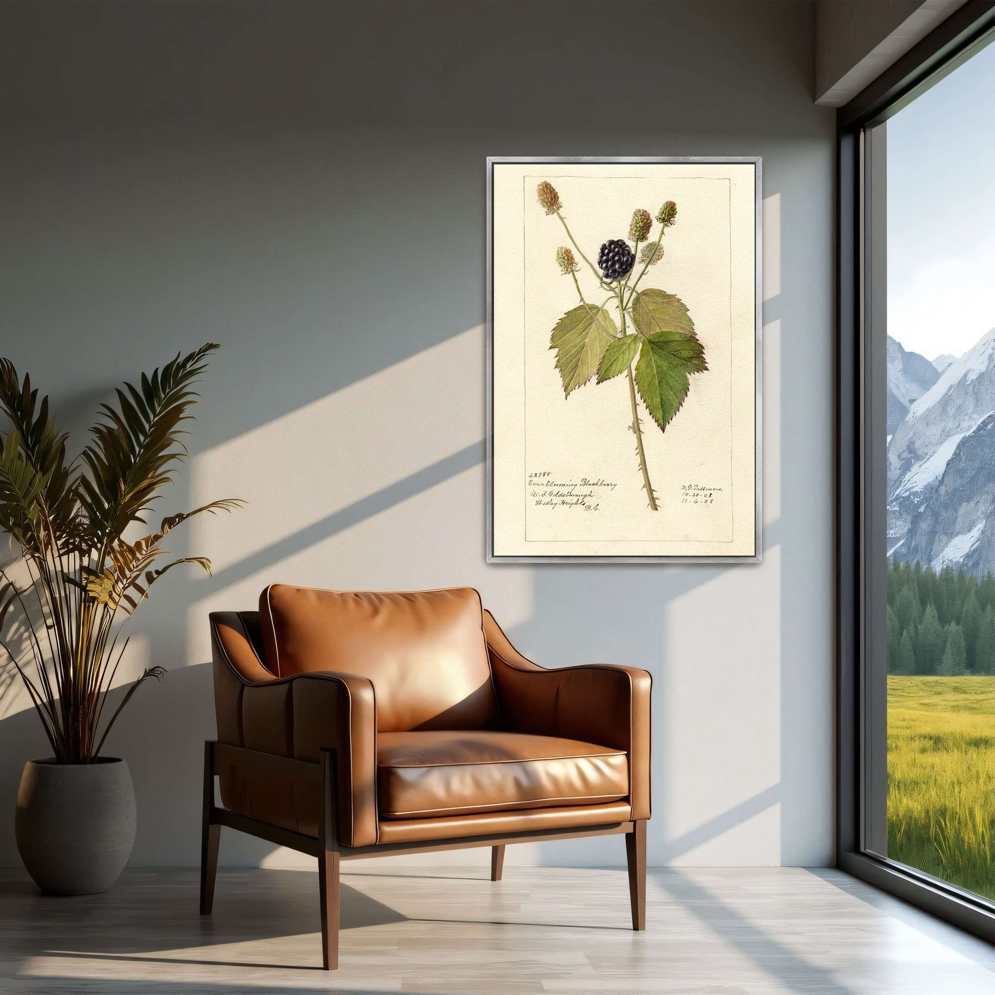 Everblooming Blackberry Botanical by Deborah Griscom Passmore