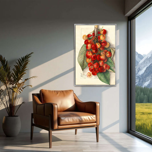 Watercolor painting of cherries by Mary Daisy Arnold