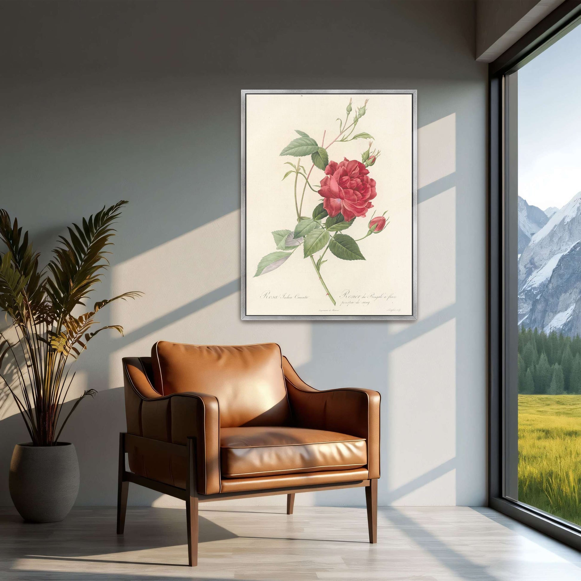Red Rose Botanical Illustration by Pierre Joseph Redouté
