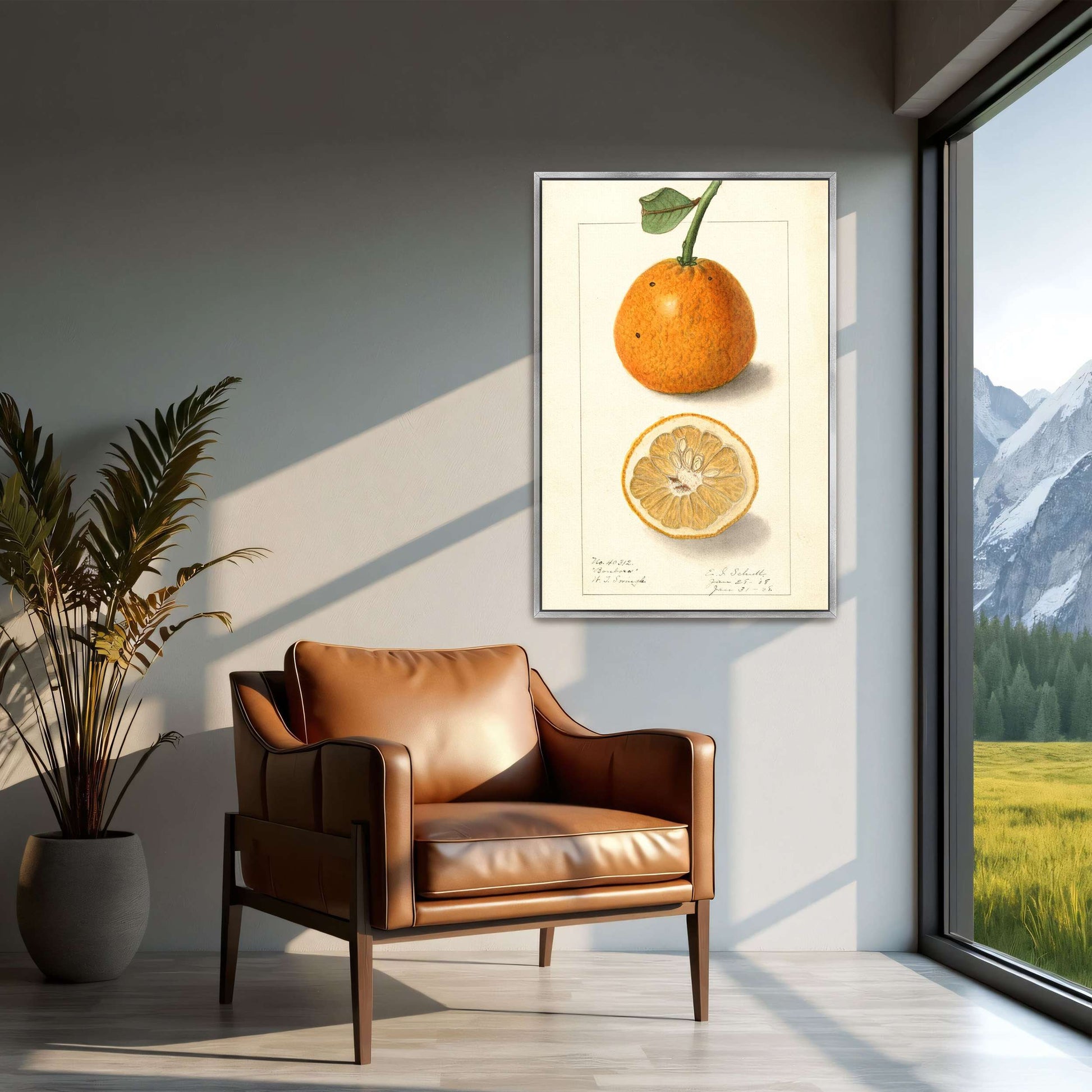Orange fruit botanical illustration by Ellen Isham Schutt