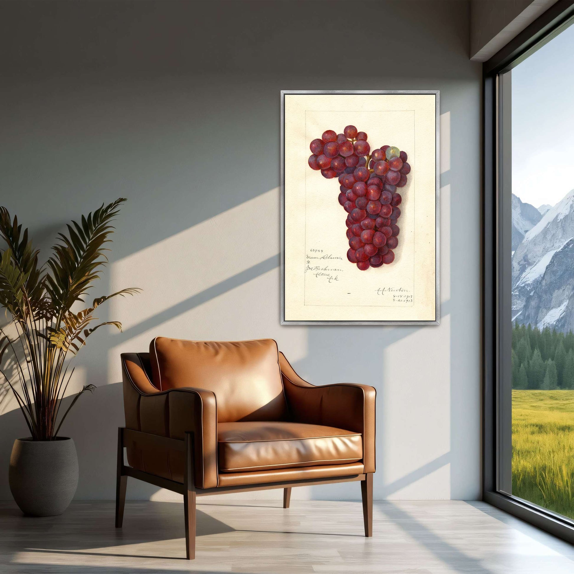 Watercolor painting of grapes by Amanda Almira Newton