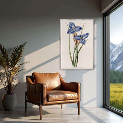 Blue flowers botanical illustration by Sydenham Edwards