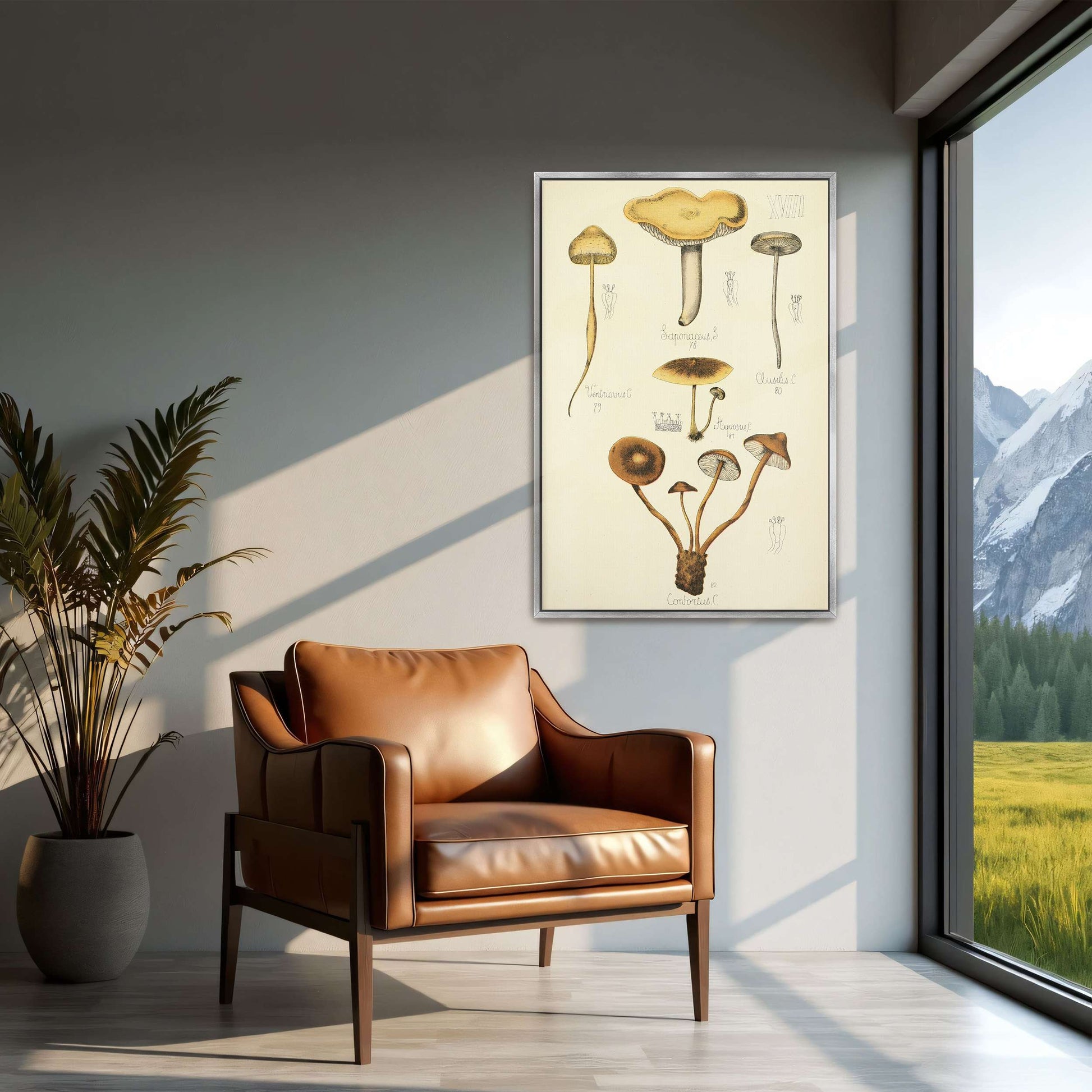 Mushroom illustration plate by Guillaume Sicard