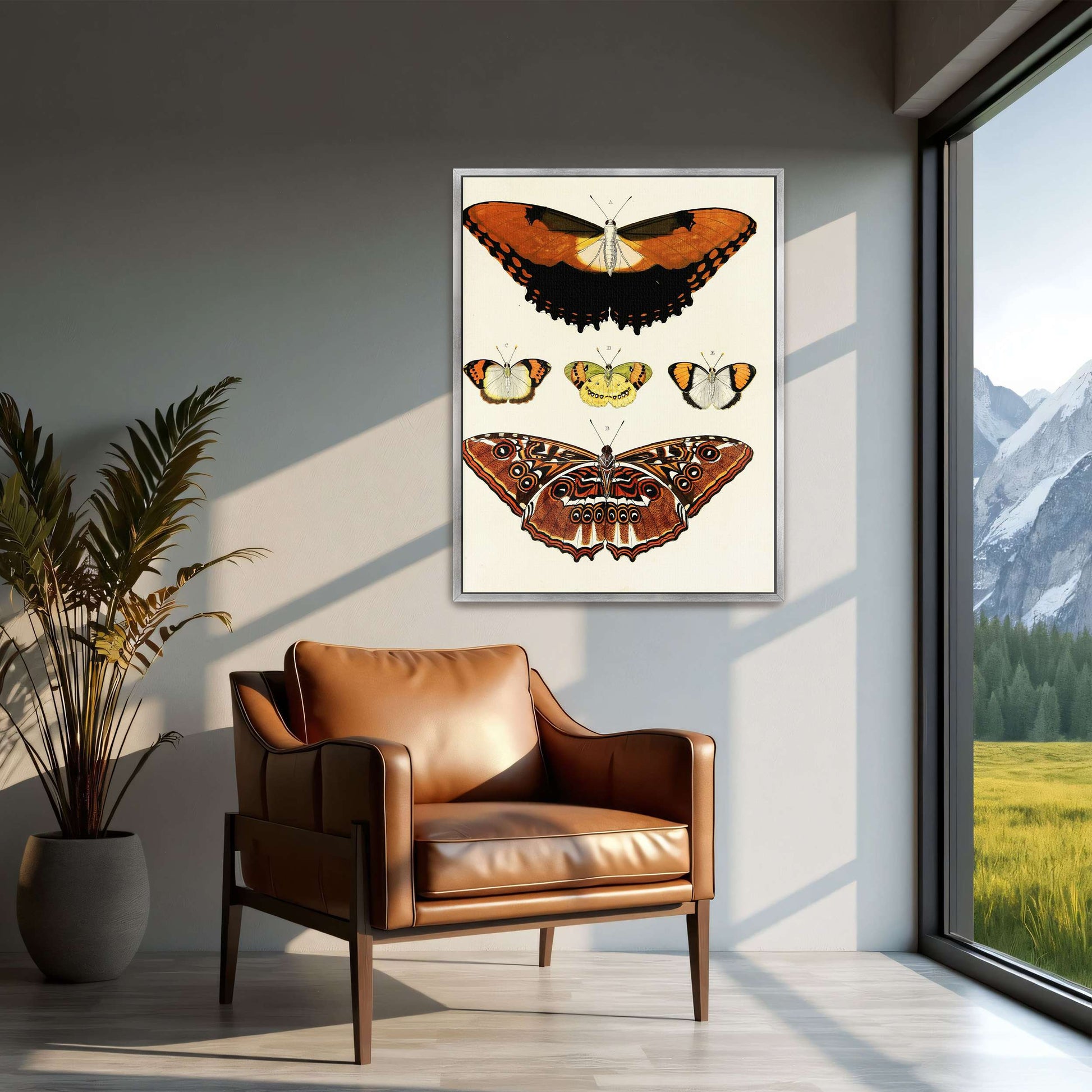 Five butterflies on white background by Pieter Cramer