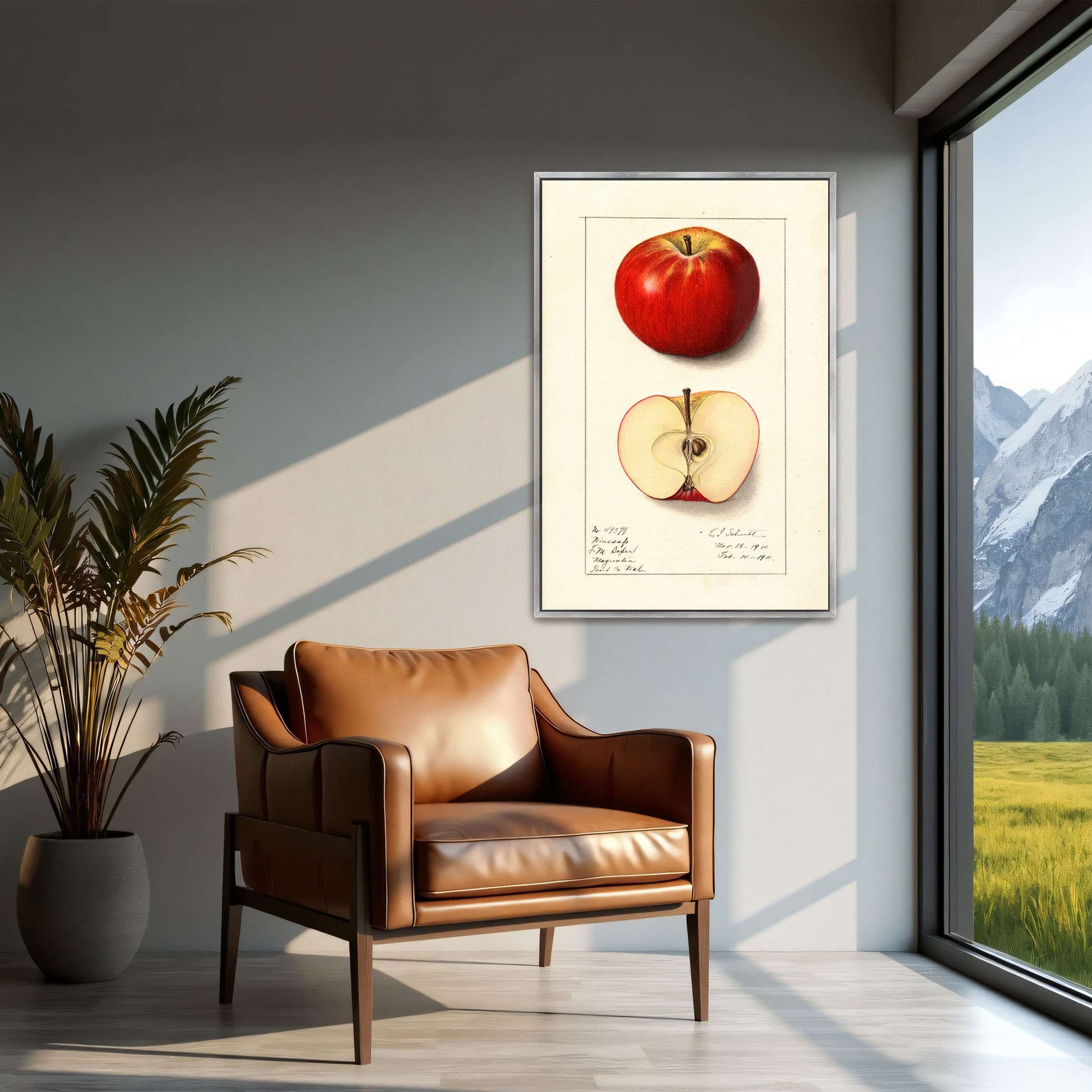 Winesap apple illustration by Ellen Isham Schutt