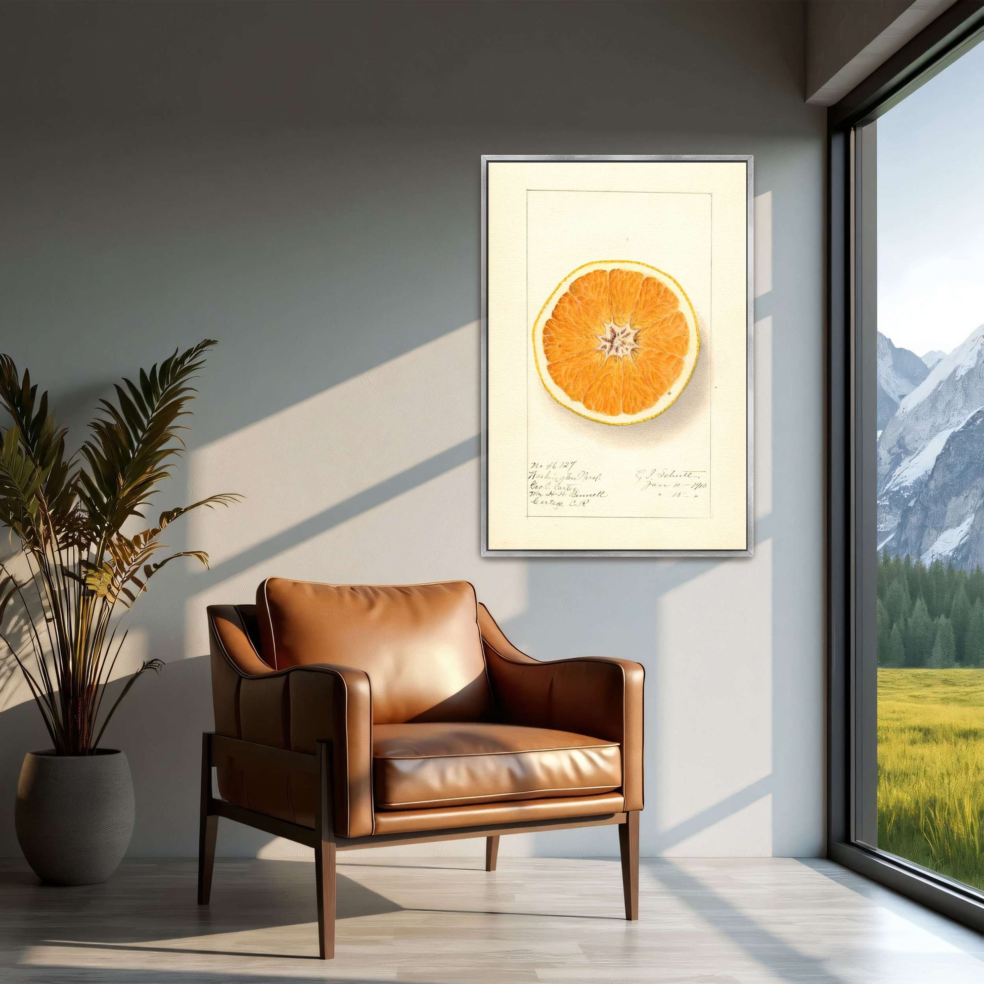 Orange cross-section watercolor by Ellen Isham Schutt