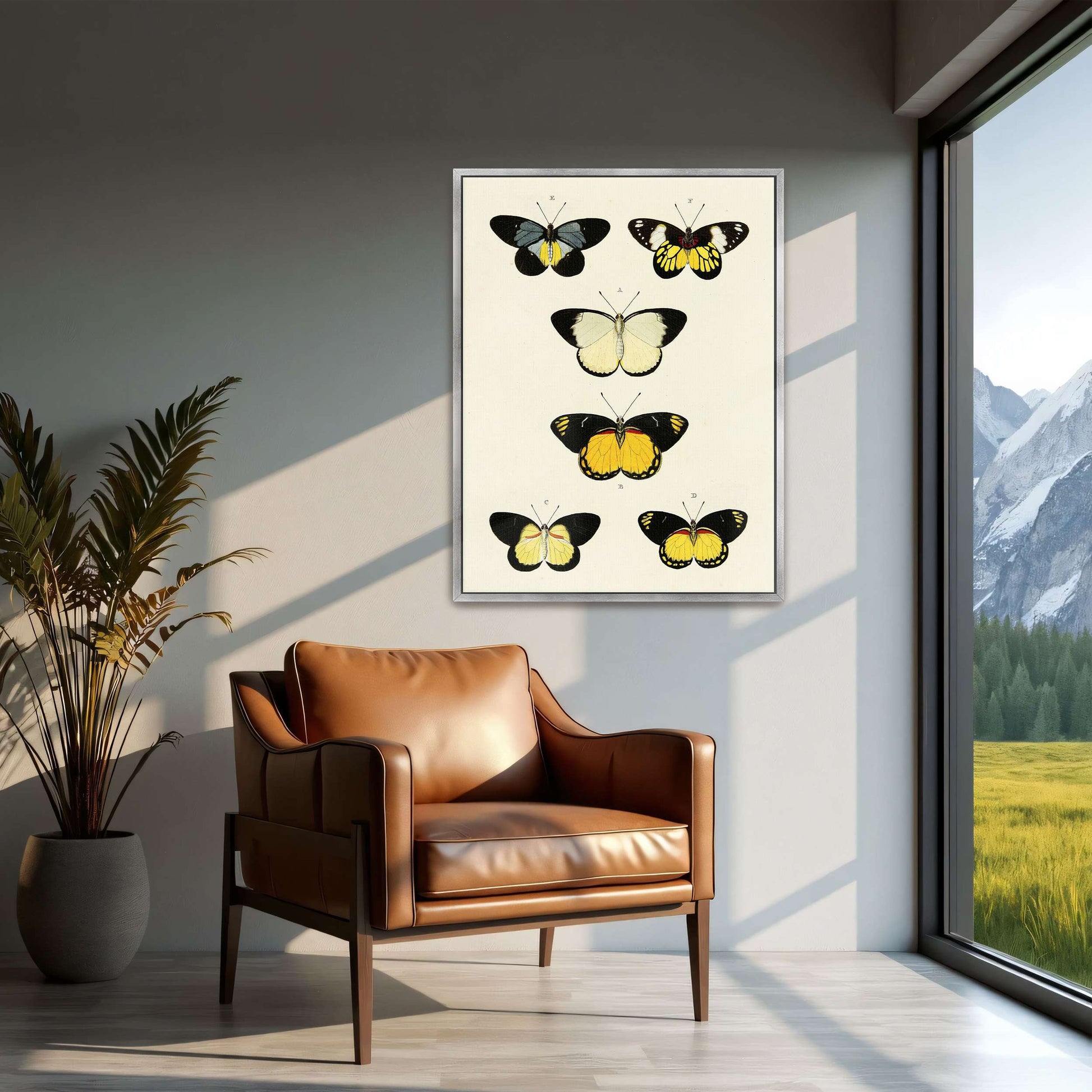 Five butterflies on white background by Pieter Cramer