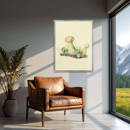 Mushrooms in grass illustration by Anna Maria Hussey