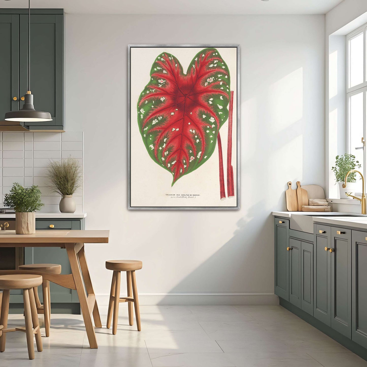 Caladium leaf botanical illustration by Charles Antoine Lemaire