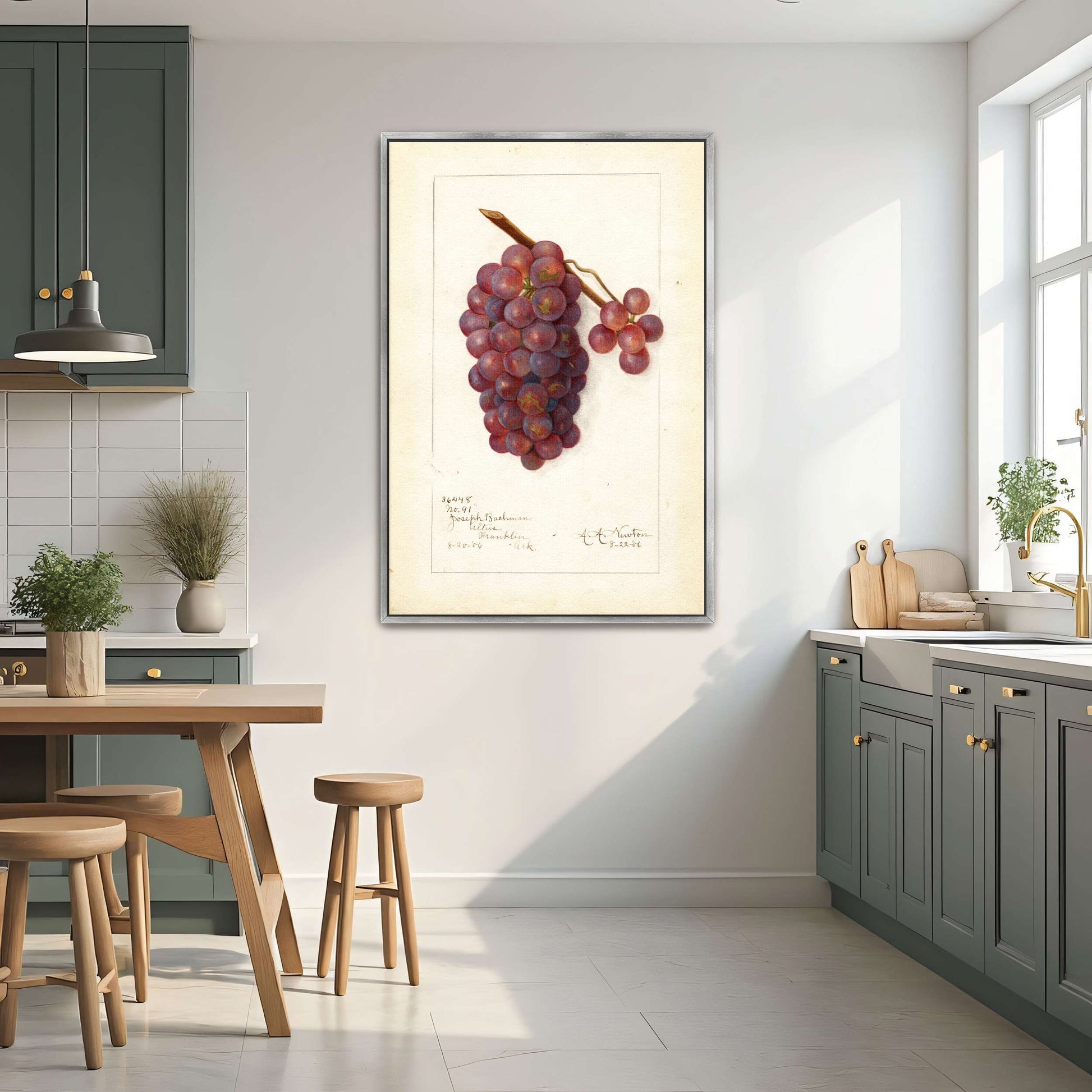 Watercolor painting of grapes by Amanda Almira Newton