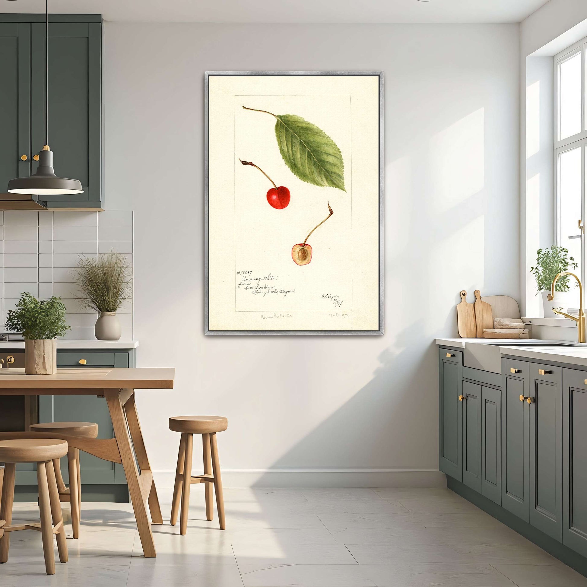 Cherry leaf and fruit watercolor by Bertha Heiges