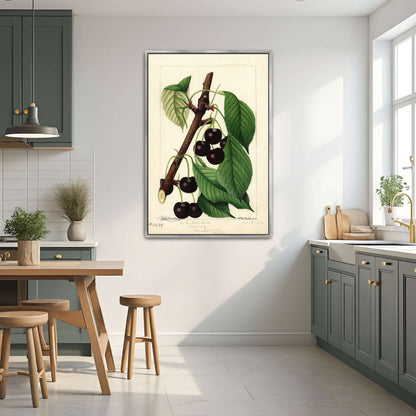 Black Republican Cherries by William Henry Prestele