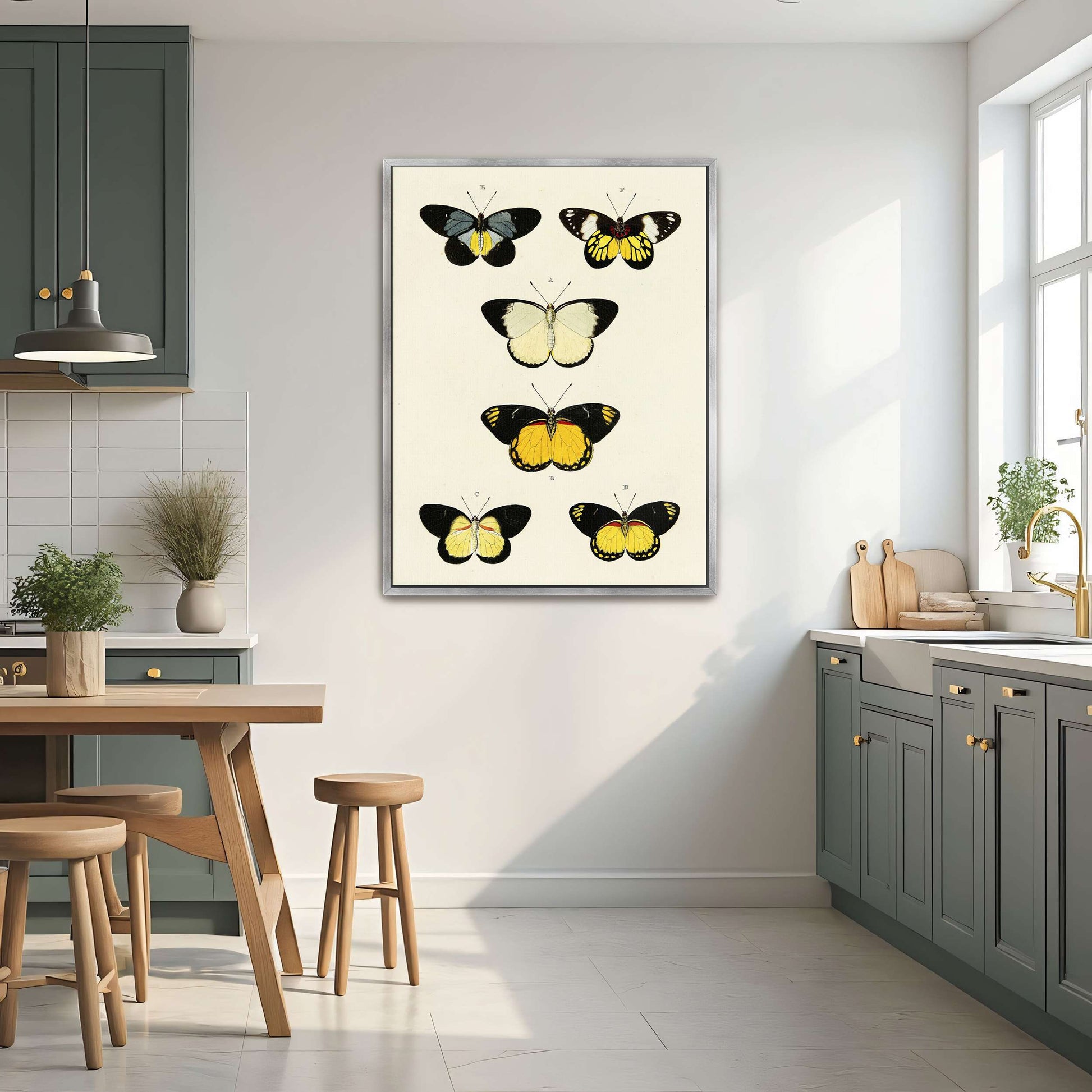 Five butterflies on white background by Pieter Cramer