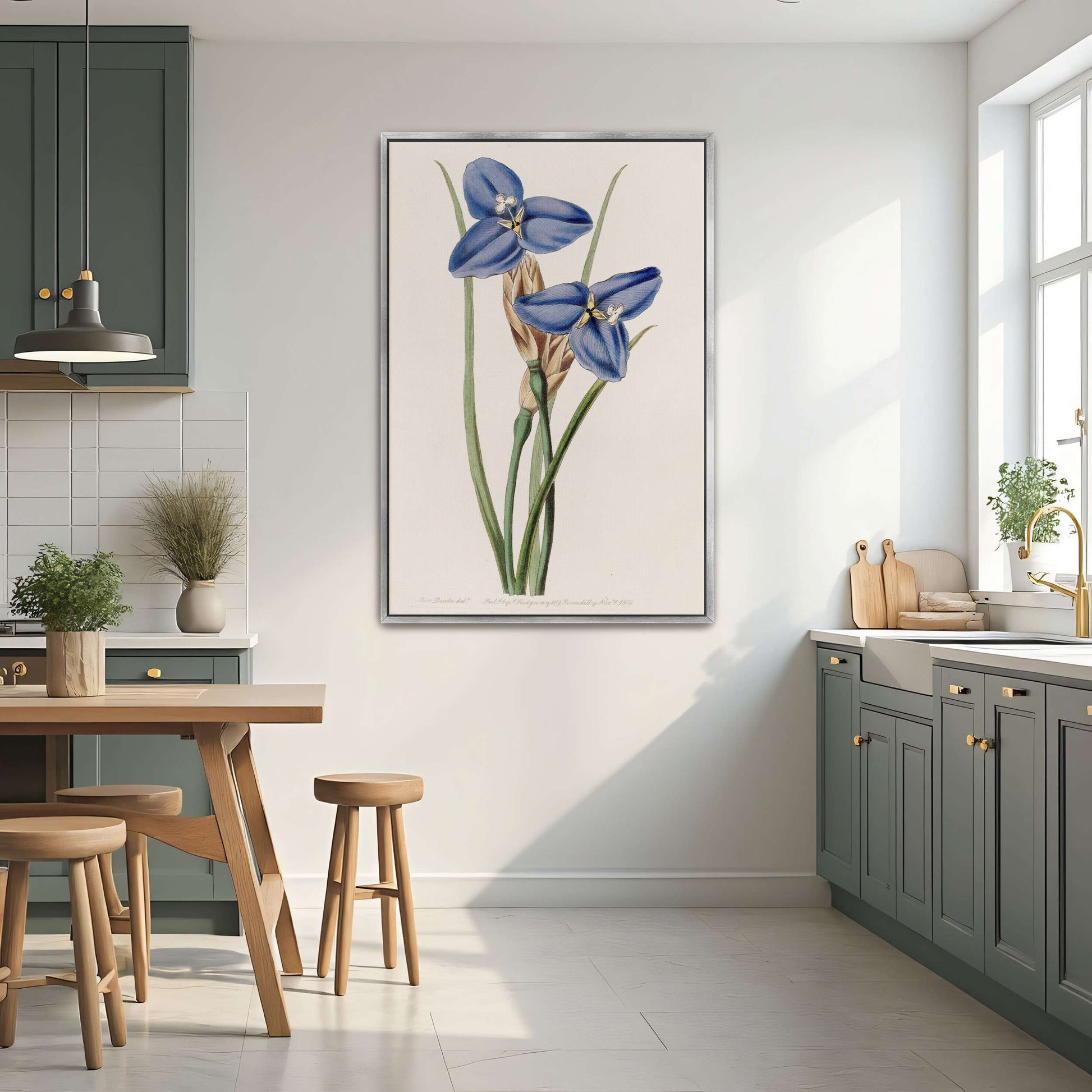 Blue flowers botanical illustration by Sydenham Edwards