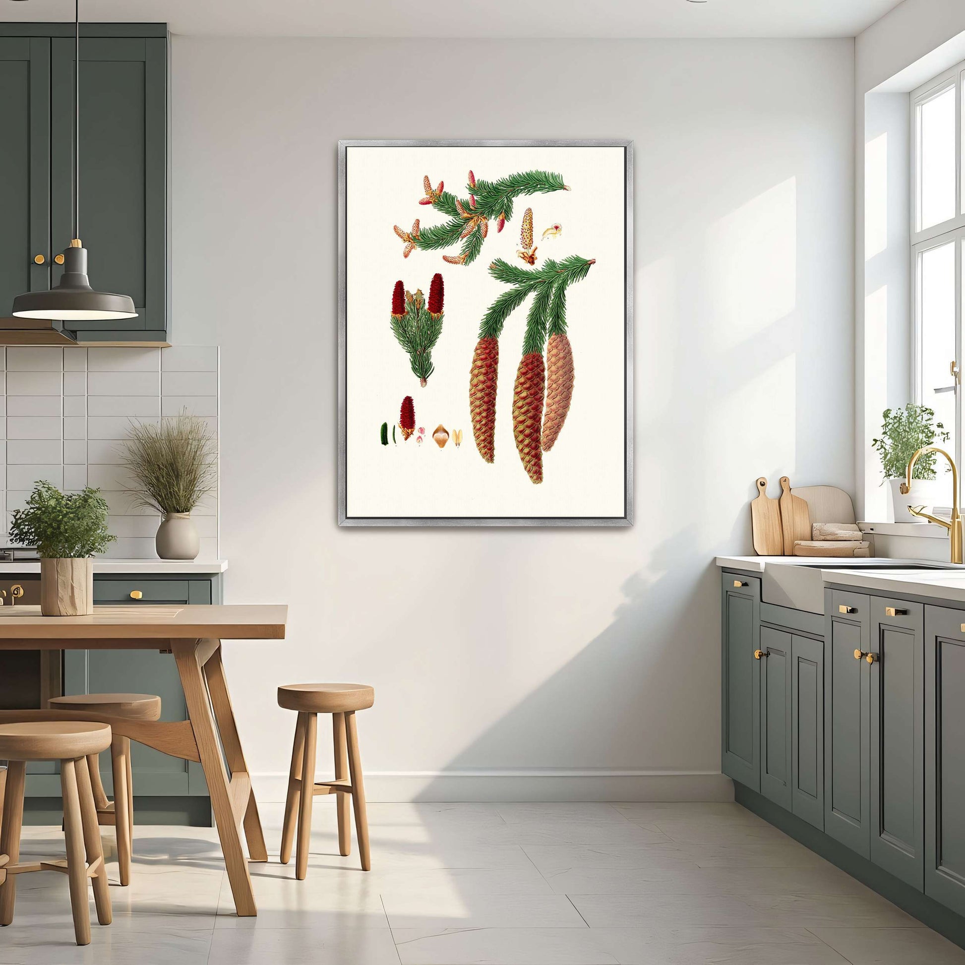 Norway spruce fir botanical illustration by Aylmer Bourke Lambert