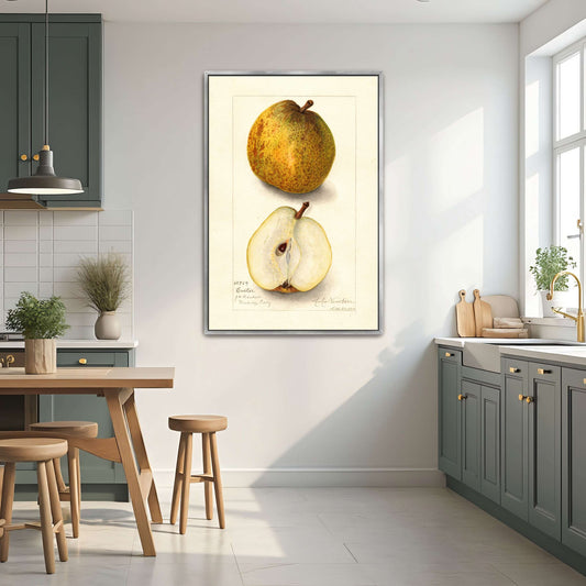 Watercolor painting of pears by Amanda Almira Newton