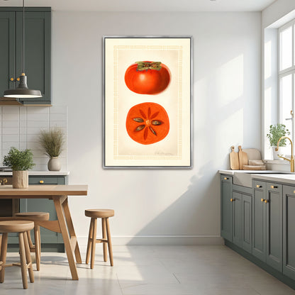 Diospyros Fuyu Persimmon Fruit Illustration By Royal Charles Steadman