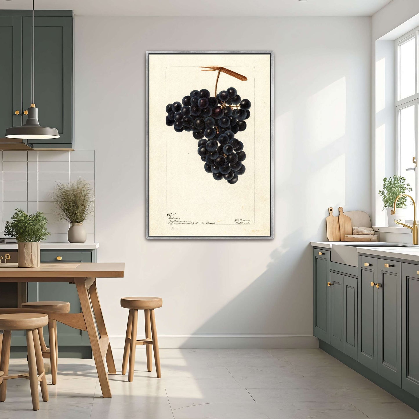 Dark Grapes on Vine by Deborah Griscom Passmore