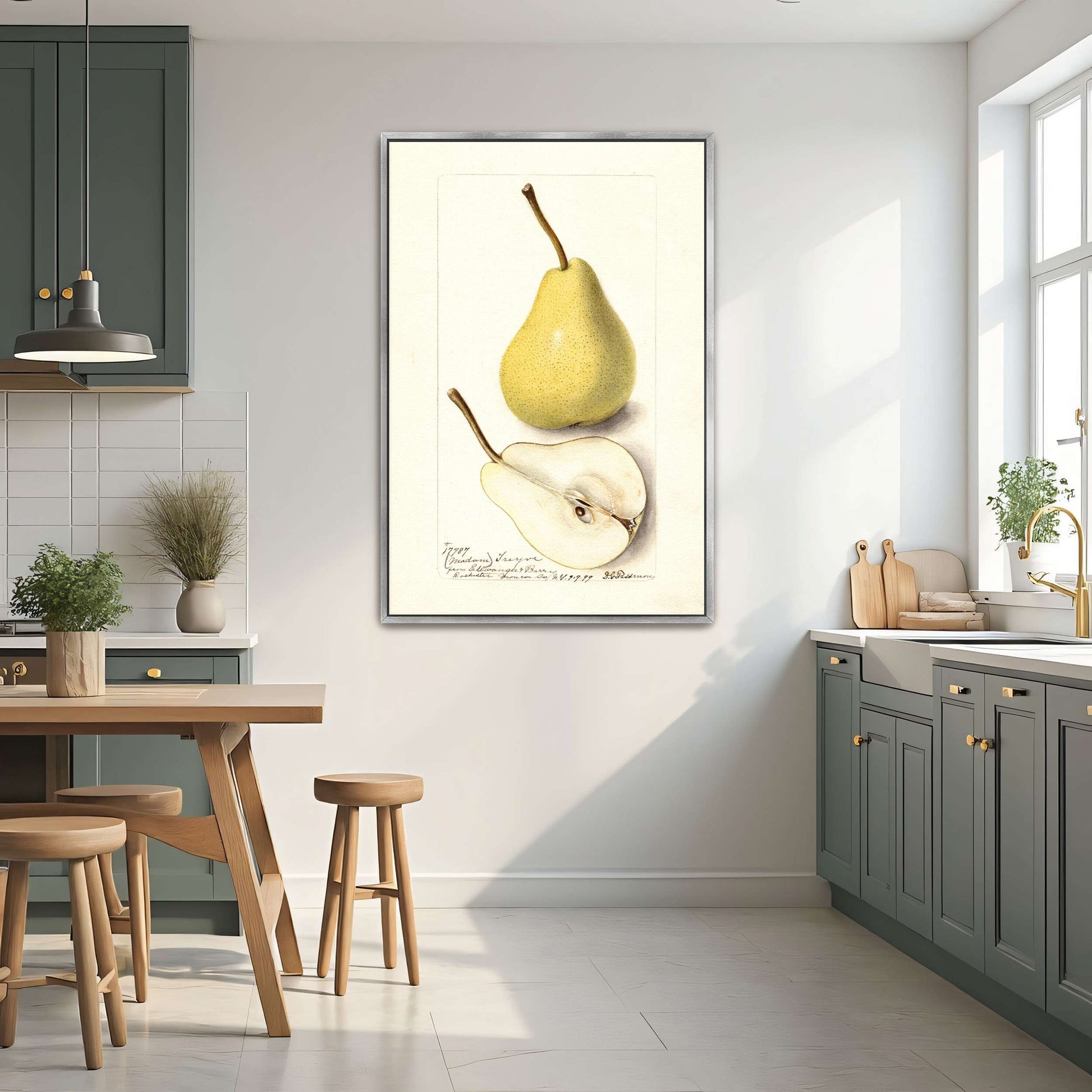 Watercolor pear painting by Deborah Griscom Passmore