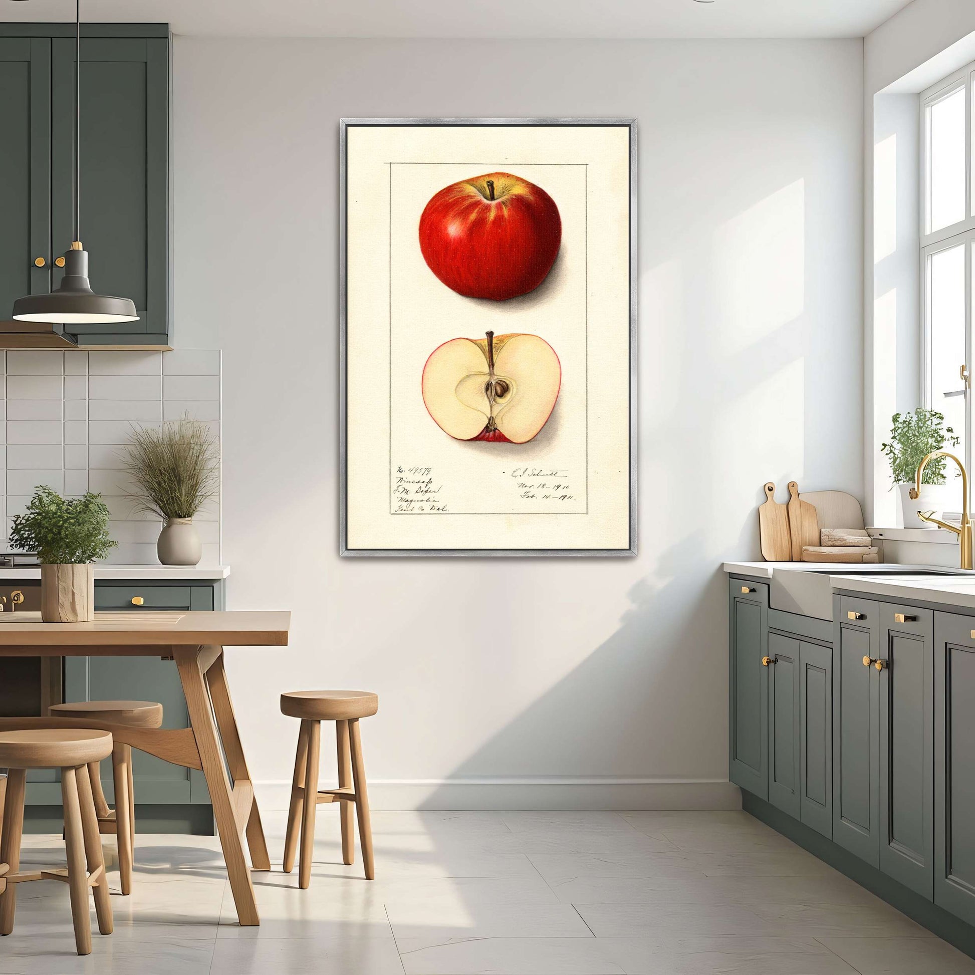 Winesap apple illustration by Ellen Isham Schutt