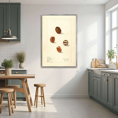 Pecans watercolor painting by Elsie E. Lower