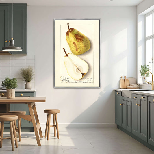Watercolor pear painting by Ellen Isham Schutt