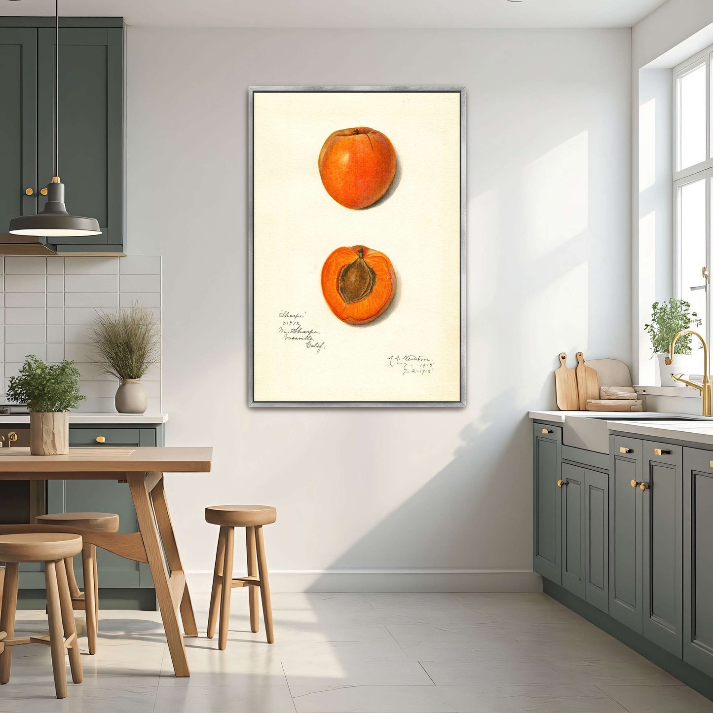 Apricot watercolor painting by Amanda Almira Newton