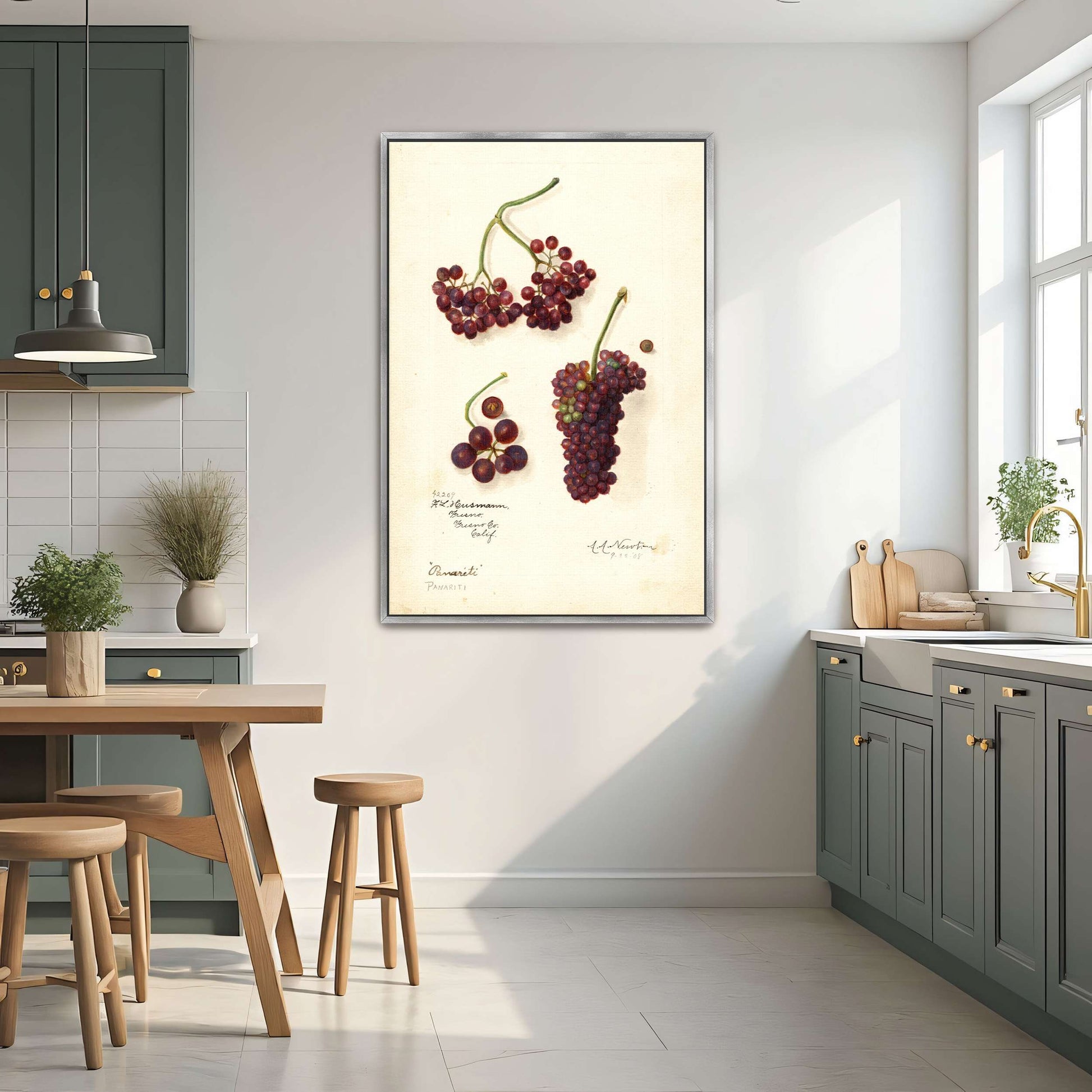 Grape and berry watercolor by Amanda Almira Newton