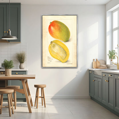 Watercolor Painting Of Two Mangoes By Amanda Almira Newton