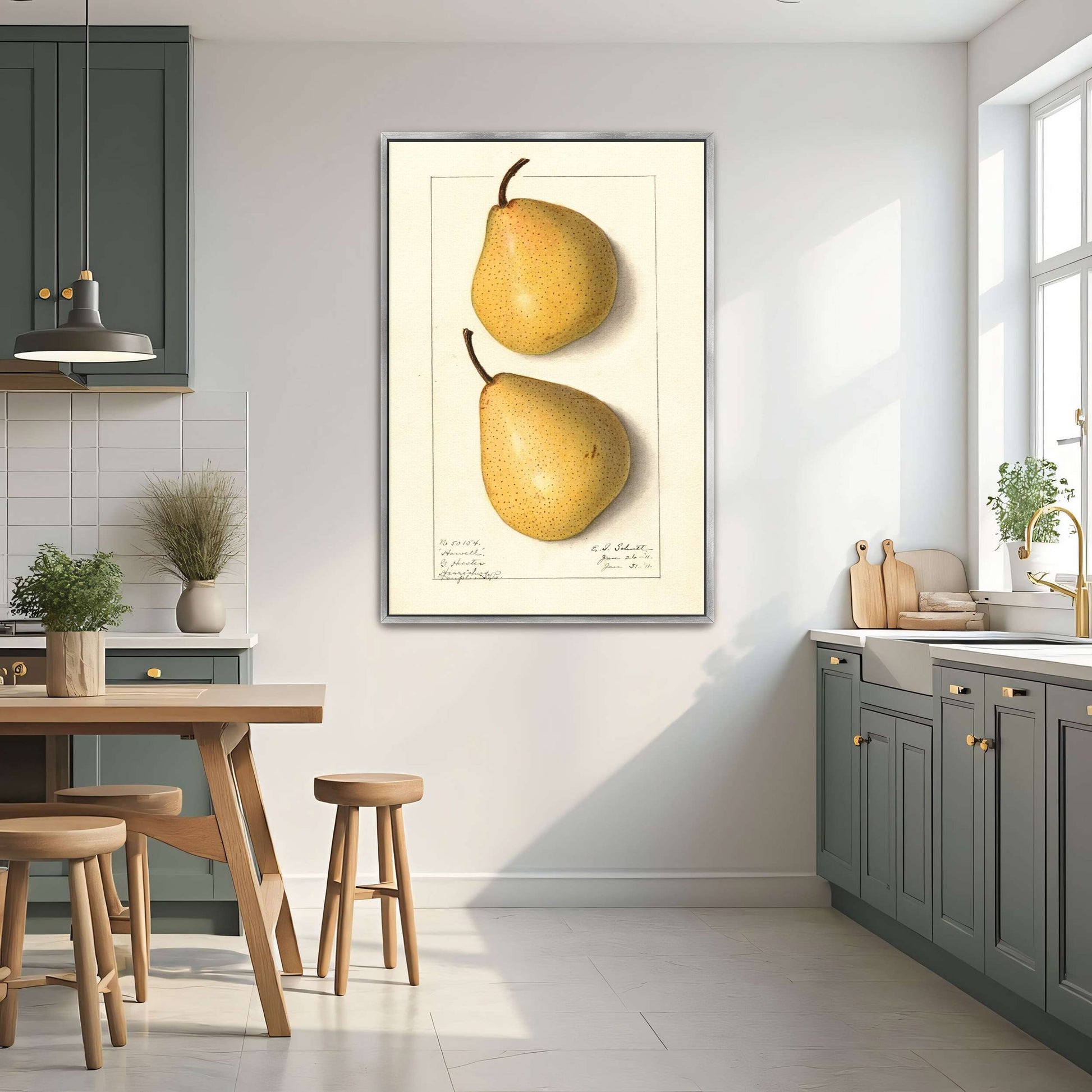 Howell Pear Watercolor Botanical Illustration By Ellen Isham Schutt