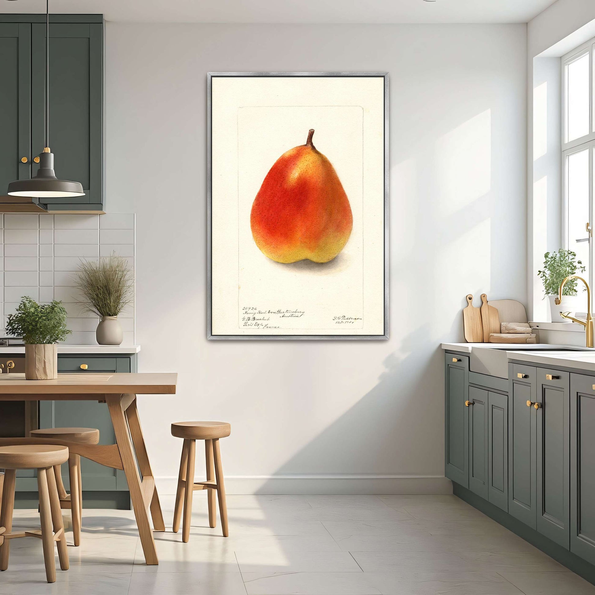 Watercolor painting of a pear by Deborah Griscom Passmore