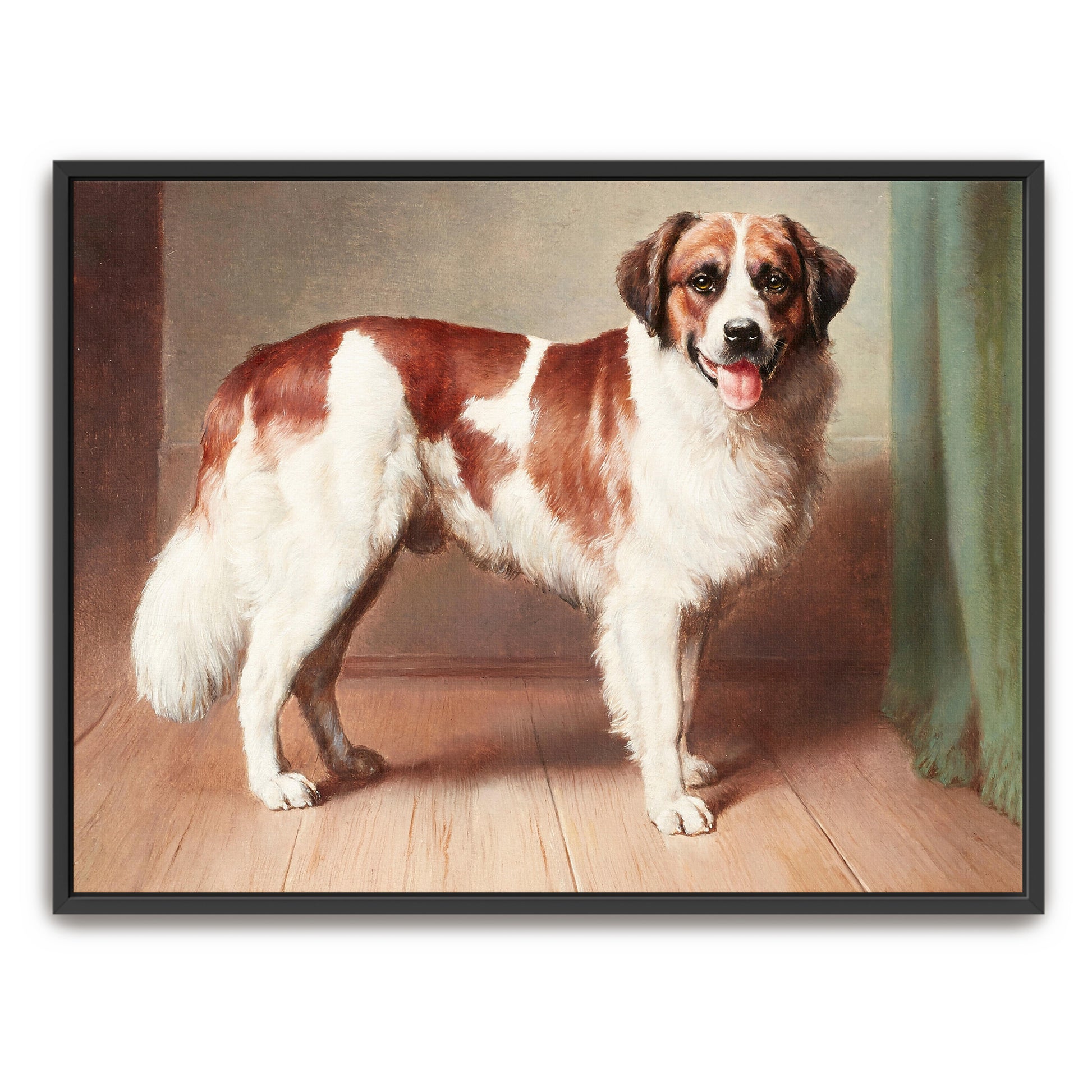 St. Bernard Dog Portrait, Standing, Indoor Setting By Carl Reichert