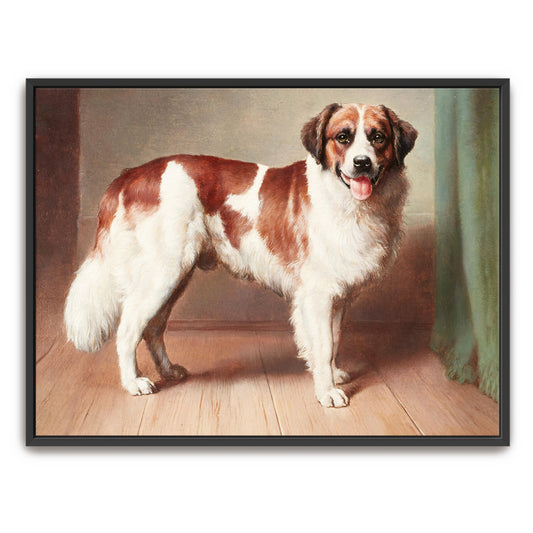 St. Bernard Dog Portrait, Standing, Indoor Setting By Carl Reichert