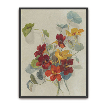 Watercolor painting of nasturtiums by Deborah Griscom Passmore