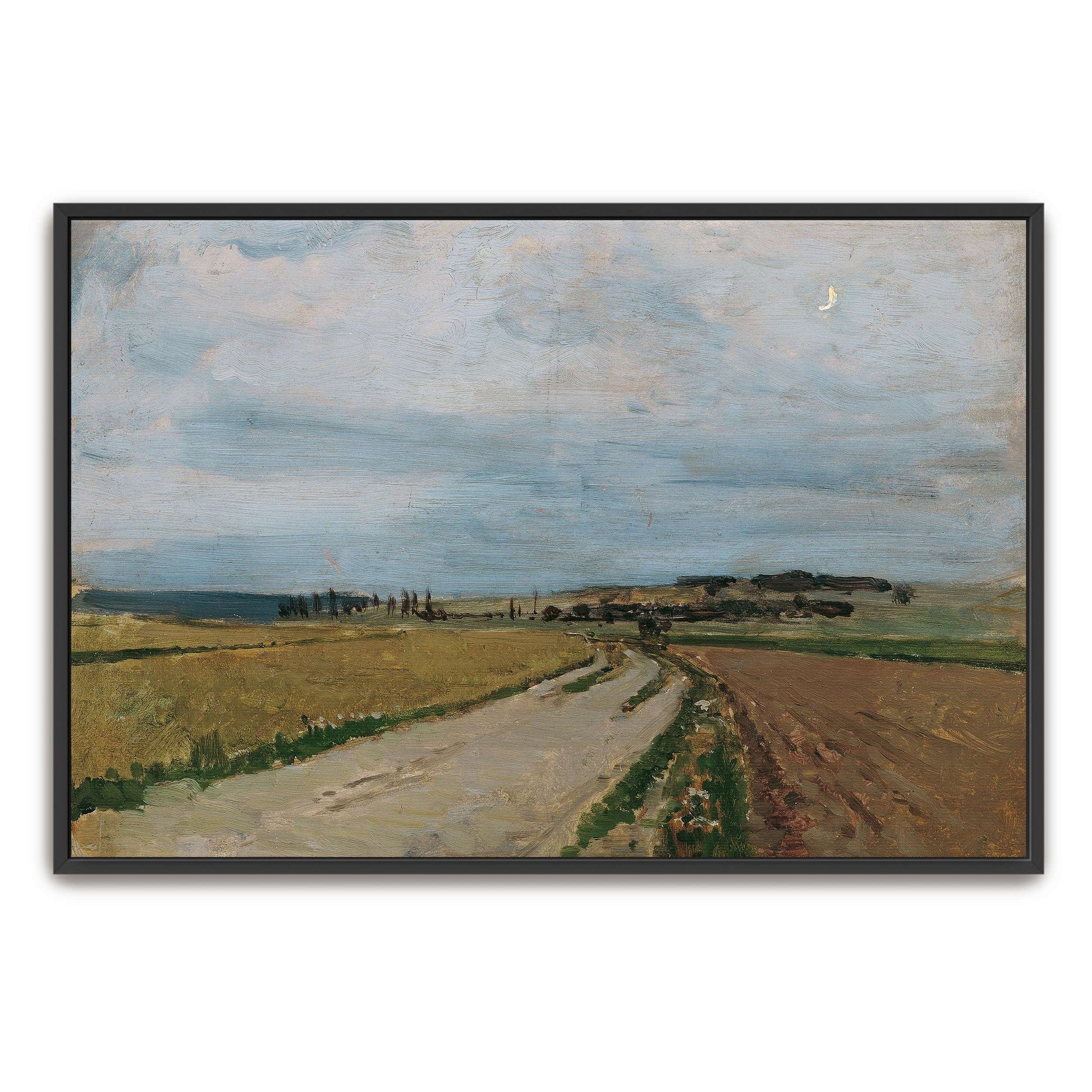 Country road, fields, and sky by Carl Moll