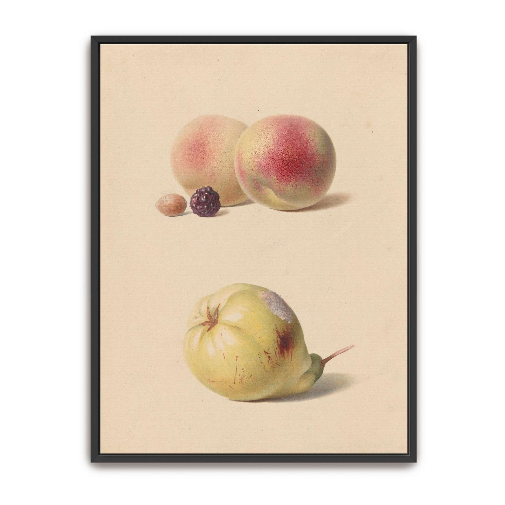 Peaches, blackberry, nut, pear by Hendrik Reekers