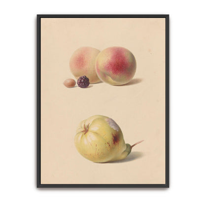 Peaches, blackberry, nut, pear by Hendrik Reekers