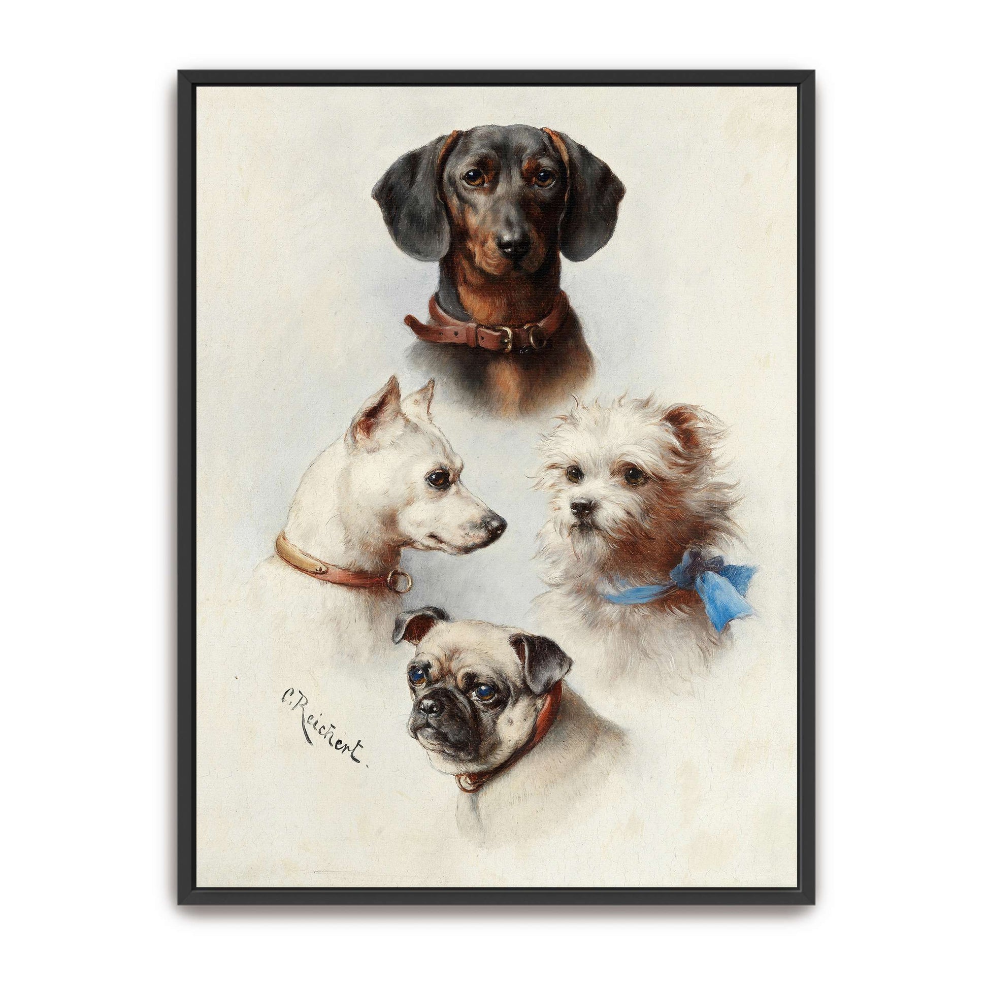 Four Dog Portraits by Carl Reichert